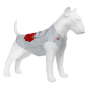 Борцівка для тварин WAUDOG Clothes "Калина" M40 (297-0228) зображення 1