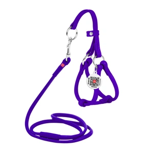 Шлея для собак WAUDOG Glamour з повідцем кругла Д 6 мм А 26-46 см В 30-50 см фіолетова (34019) зображення 1