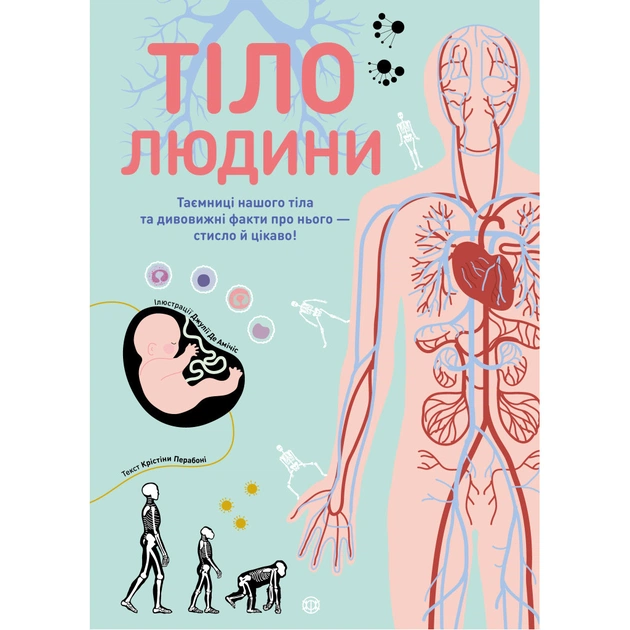 Книга Тіло людини - Кристина Перабоні Жорж (9786177853199) - зображення 1