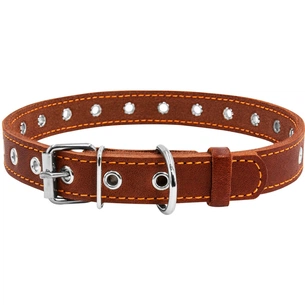 Нашийник для тварин Collar безрозмірний 20 мм 50 см (коричневий) (01516) зображення 1