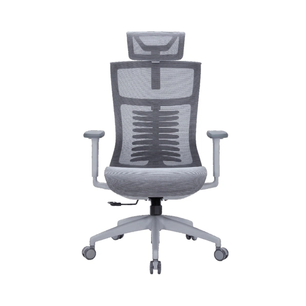 Офісне крісло OfficePro Balance OC620-G-DG-DG (OC620-G-DG-DG) - зображення 1