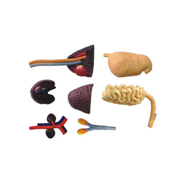 Пазл 4D Master Master Тиранозавр (FM-622013) - picture 11