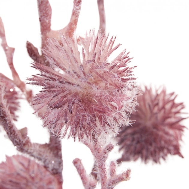 Декоративна гілка YES! Fun Колючка Пурпурна Засніжена 84 см (974804) - picture 2