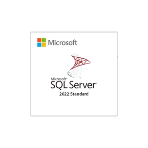 ПЗ для сервера Microsoft SQL Server 2022 Standard Edition Commercial, Perpetual (DG7GMGF0M80J_0002) зображення 1