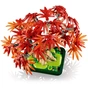 Конструктор LEGO Botanicals Бонсай з японського червоного клена (10348) - зменшене зображення 4