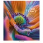 Тетрадь Школярик Sun Flower 60 листов клетка (060-3456K) - уменьшенное изображение 5