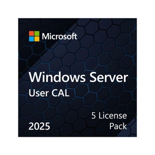 ПЗ для сервера Microsoft Windows Server 2025 CAL 5 User англ, ОЕМ без носія (EP2-25279) picture 1