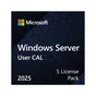 ПЗ для сервера Microsoft Windows Server 2025 CAL 5 User англ, ОЕМ без носія (EP2-25279) - preview 1