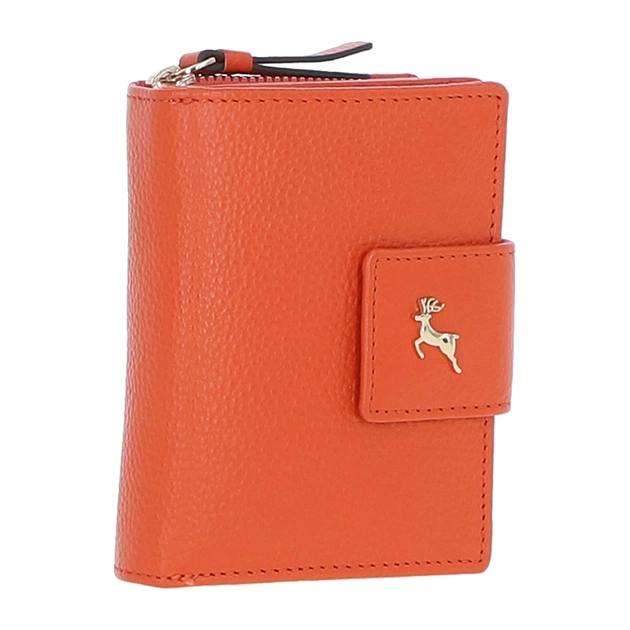 Гаманець Ashwood X30 Orange - зображення 1