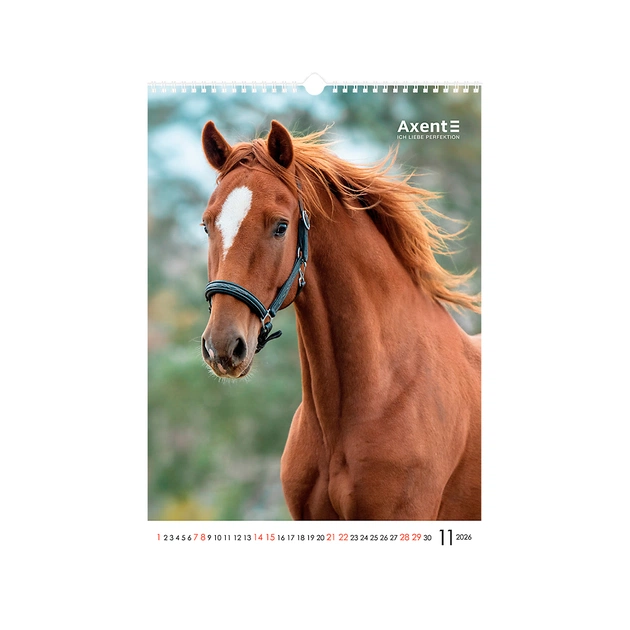 Календар Axent настінний А3 2026 р. Horses (8804-26-3-A) - изображение 12