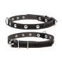 Нашийник для тварин Collar одинарний з прикрасами Ш 14 мм Д 27-35 см чорний (00041) - зменшене зображення 1