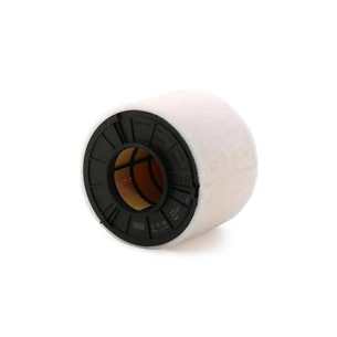 Повітряний фільтр для автомобіля Mann C17011 зображення 1