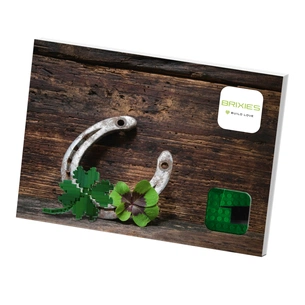 Конструктор BRIXIES Чотирилисник (220.021) зображення 1