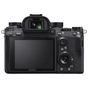 Цифровий фотоапарат Sony Alpha 9 body black (ILCE9.CEC) - зменшене зображення 2