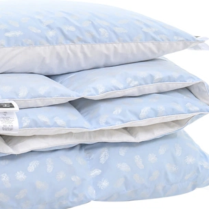 Ковдра MirSon Набір пуховий №2106 Bio-Blue Зима 90% пух 220х240 + подушка 50х70 м'яка (2200003023107) зображення 1