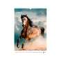 Календар Axent настінний А3 2026 р. Horses (8804-26-3-A) - зменшене зображення 7