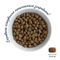 Сухий корм для собак Home Food ADULT MEDIUM/MAXI For active adult and junior dogs з ягням та рисом 1.6 кг (4820235020446) - зменшене зображення 4
