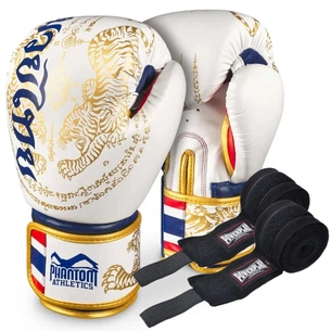 Боксерські рукавички Phantom Muay Thai Gold 14 унцій (PHBG2590-14) зображення 1