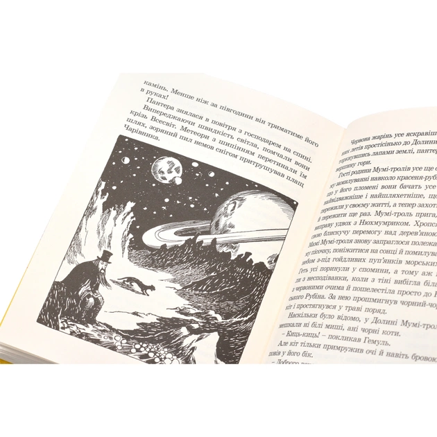 Книга Країна Мумі-тролів. Книга 1 - Туве Янссон Видавництво Старого Лева (9786176796466) - picture 7