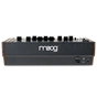 Синтезатор Moog Music Spectravox (236600) - уменьшенное изображение 3