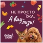 Вологий корм для кішок Delickcious Смужки з качкою та гарбузом в крем-супі 85 г (4820269141797) - уменьшенное изображение 9