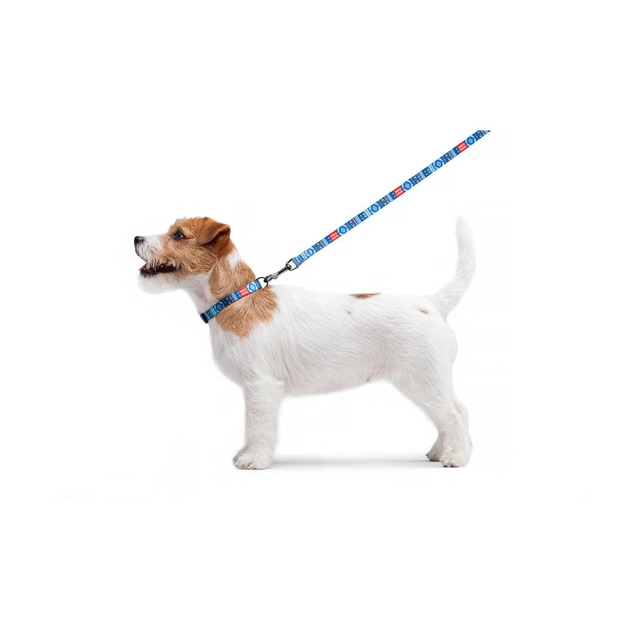 Повідець для собак WAUDOG Nylon "Етно синій" S (4597) - picture 4