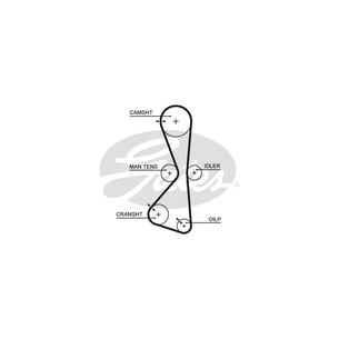 Ремінь ГРМ Gates 5609XS зображення 1