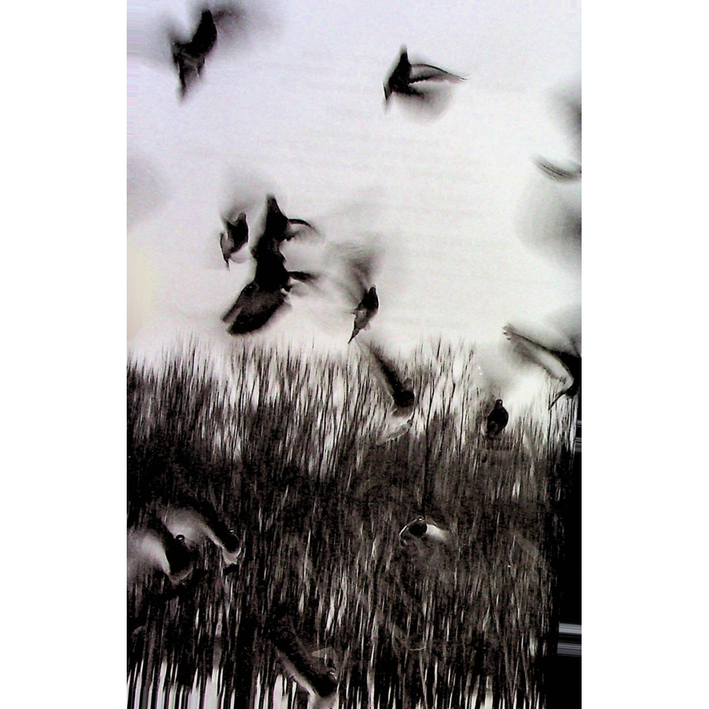 Книга Страшенно голосно і неймовірно близько - Джонатан Сафран Фоєр КСД (9786171298910) - зображення 6