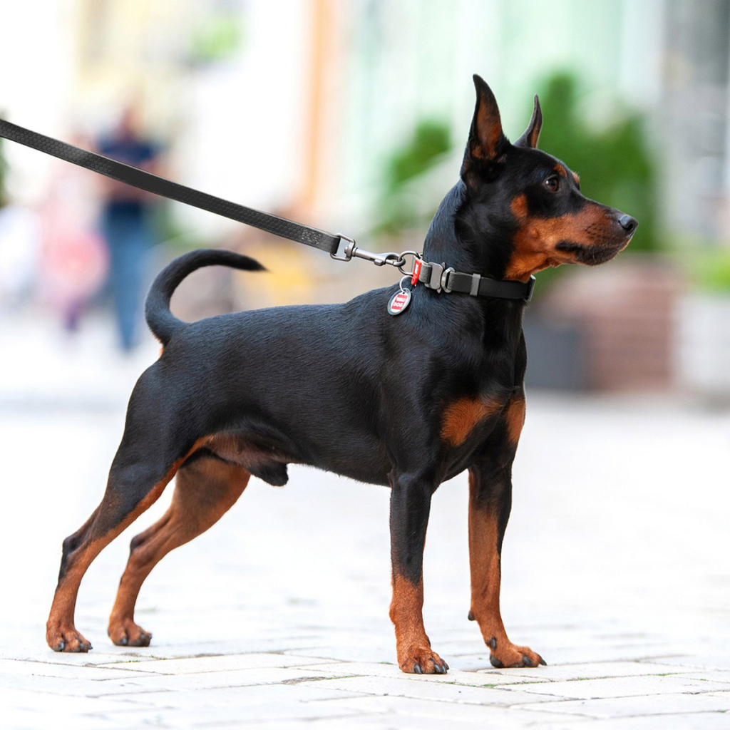 Нашийник для тварин WAUDOG Waterproof з QR паспортом L Ш 25 мм Д 31-49 см(чорний) (27861) - изображение 6