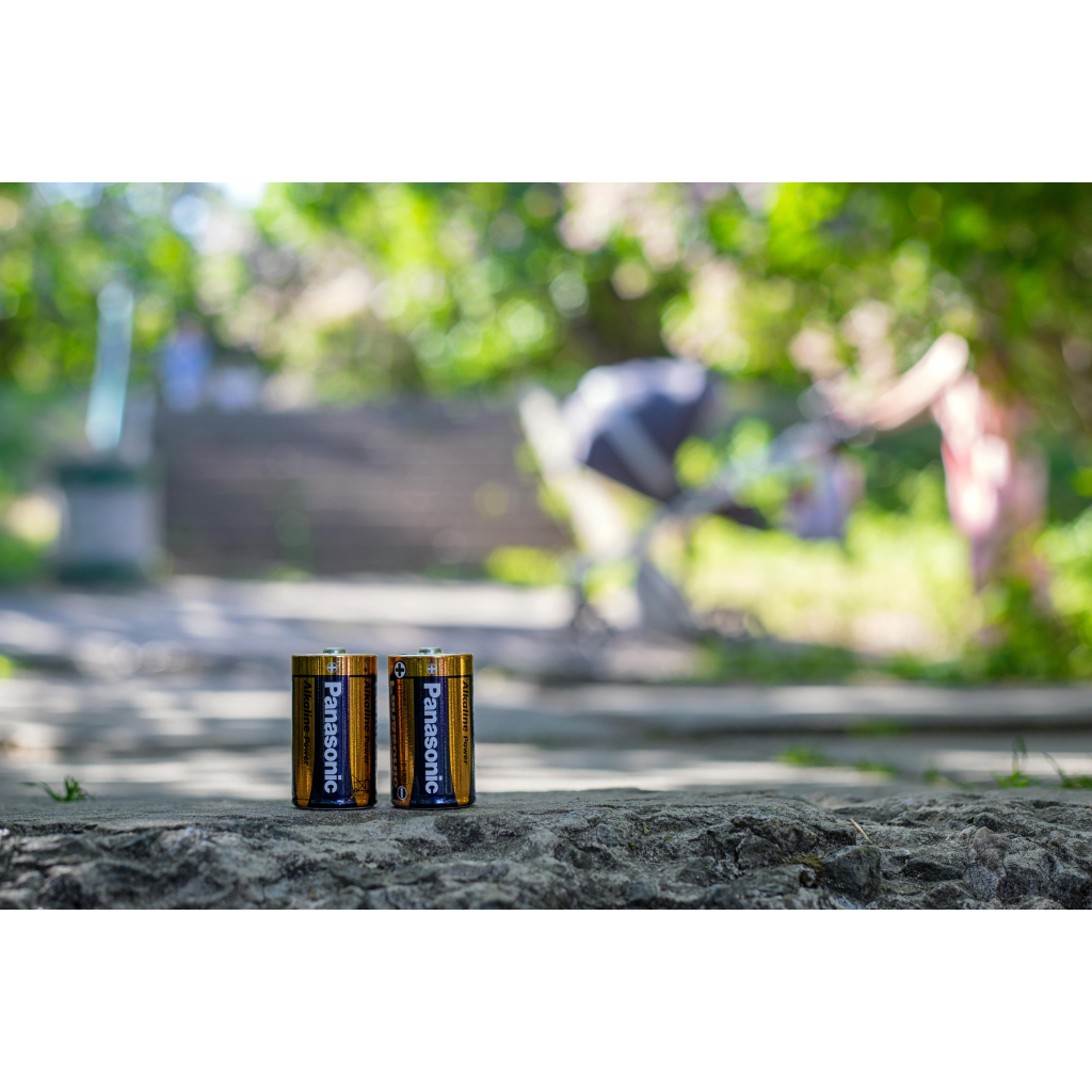 Батарейка Panasonic D LR20 Alkaline Power * 2 (LR20REB/2BP) - зображення 3