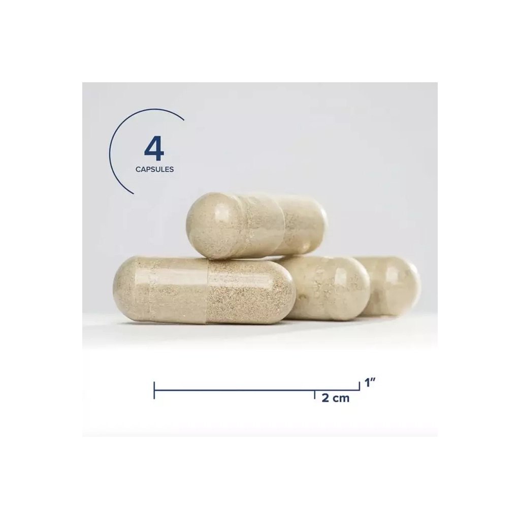 Вітамінно-мінеральний комплекс Seeking Health Поживні речовини для жовчного міхура, Gallbladder Nutrients, (SKH52151) - зображення 4