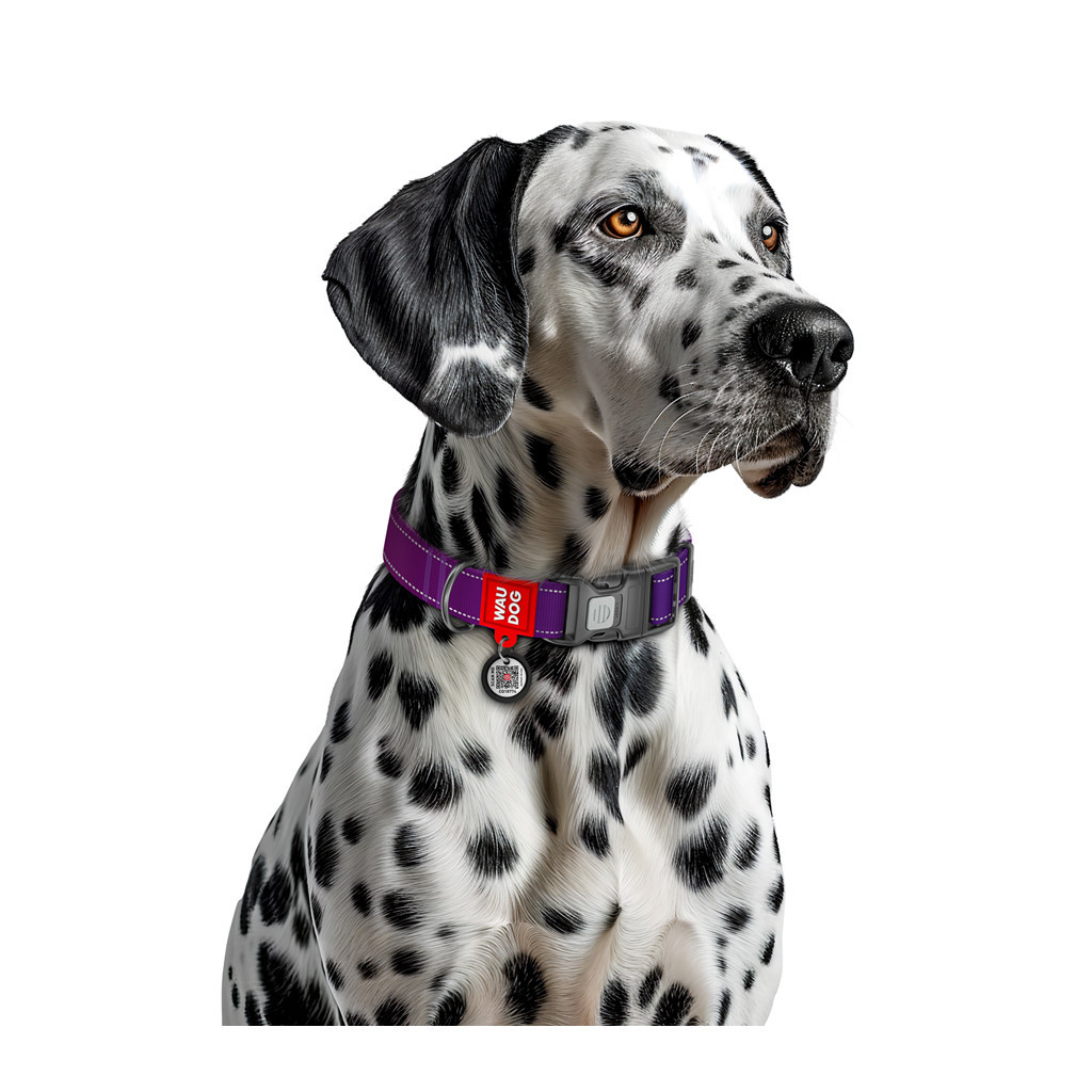 Нашийник для тварин WAUDOG Nylon Mono з QR паспортом, пластиковий фастекс S фіолетовий (52099) - зображення 4