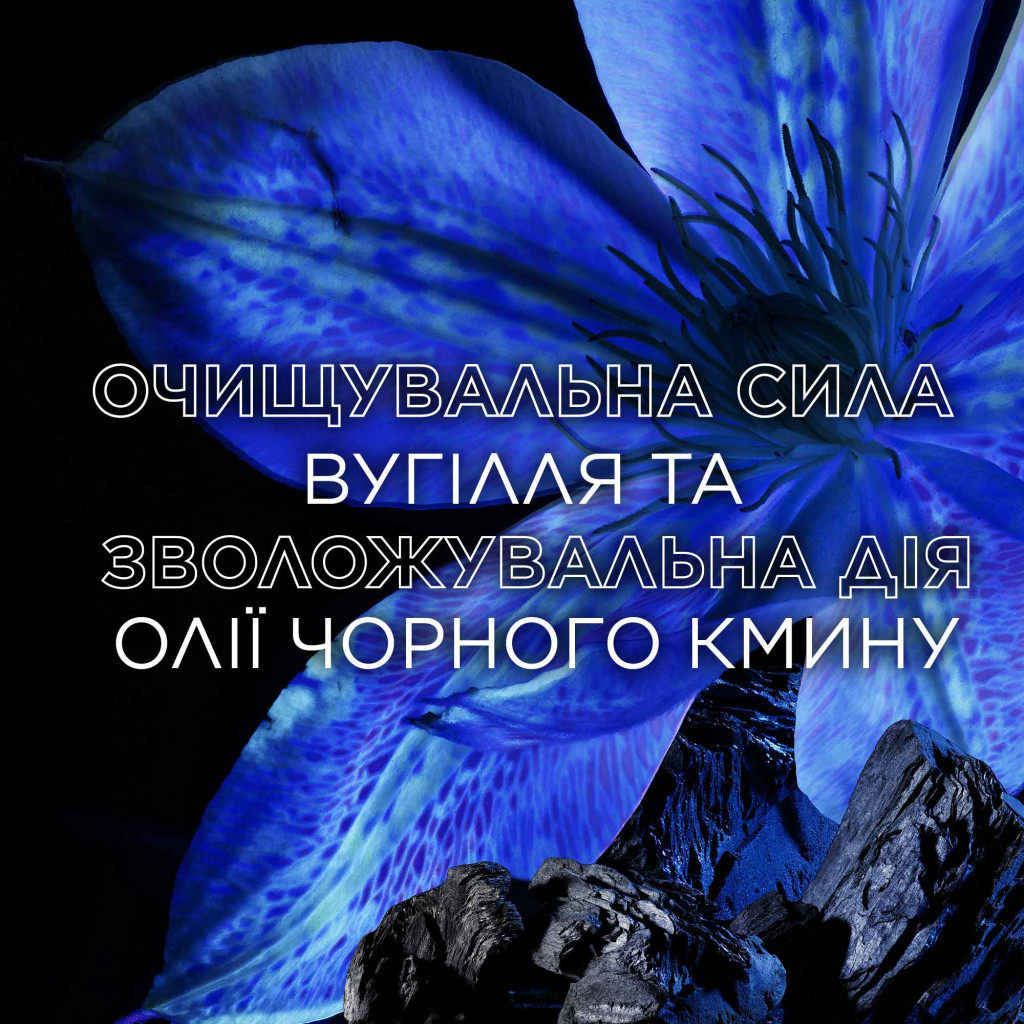 Кондиціонер для волосся Garnier Botanic Therapy Магнетичне вугілля 200 мл (3600542512268) - изображение 5