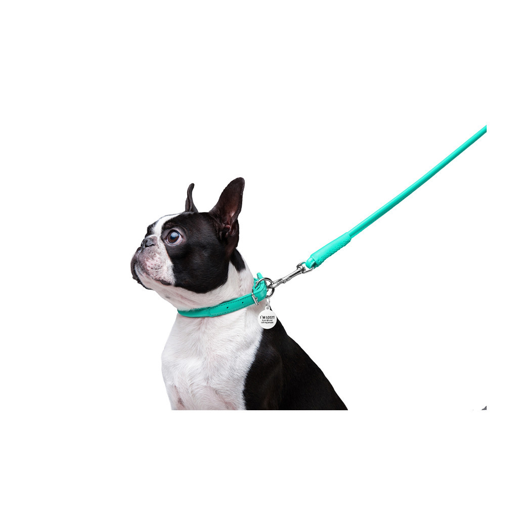 Повідець для собак WAUDOG Glamour круглий XS d 8 мм Д 122 см ментоловий (337713) - зображення 6