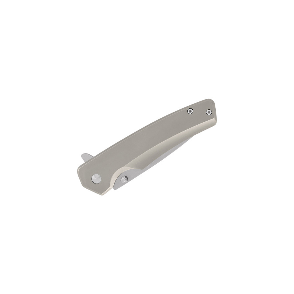 Ніж Buck Odessa (254SSS) - зображення 5