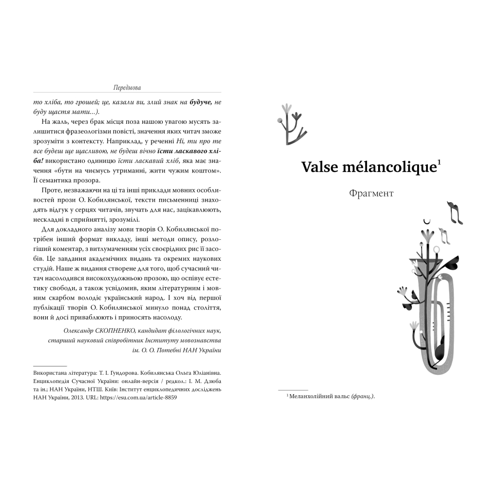 Книга Valse mélancolique. Вибрані твори - Ольга Кобилянська Видавництво РМ (9786178248741) - зображення 3