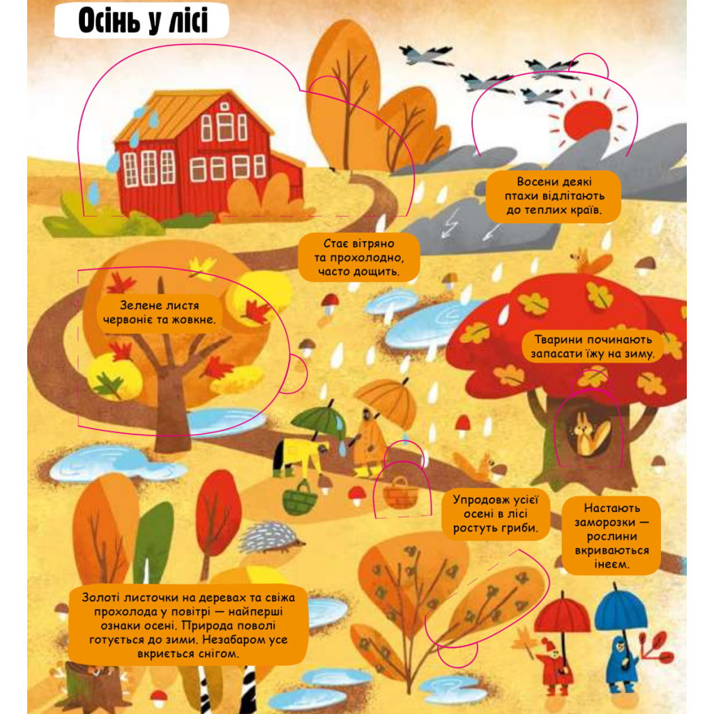 Книга Маленькі дослідники. Погода і природа #книголав (9786177563852) - зображення 3