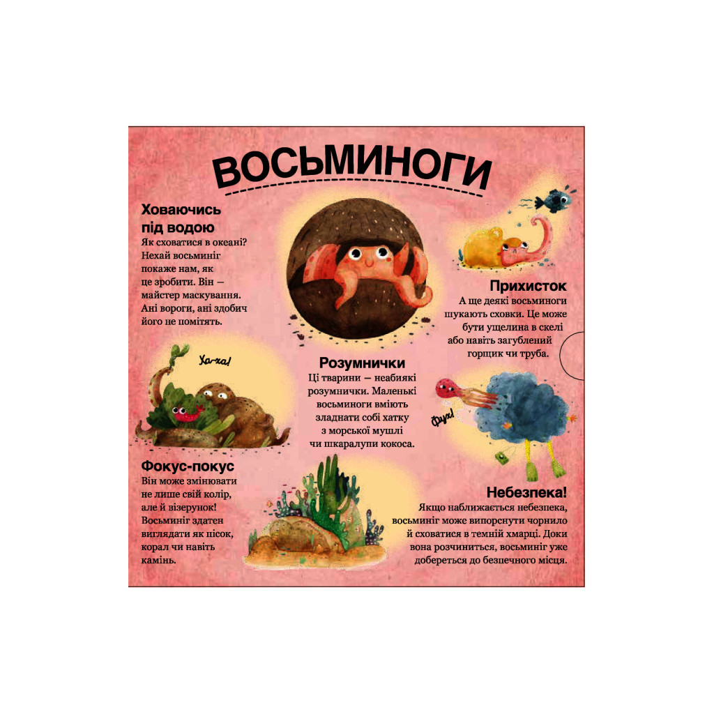 Книга Хто ховається між листям й у воді? - Павла Ганачкова #книголав (9786177563999) - зображення 9