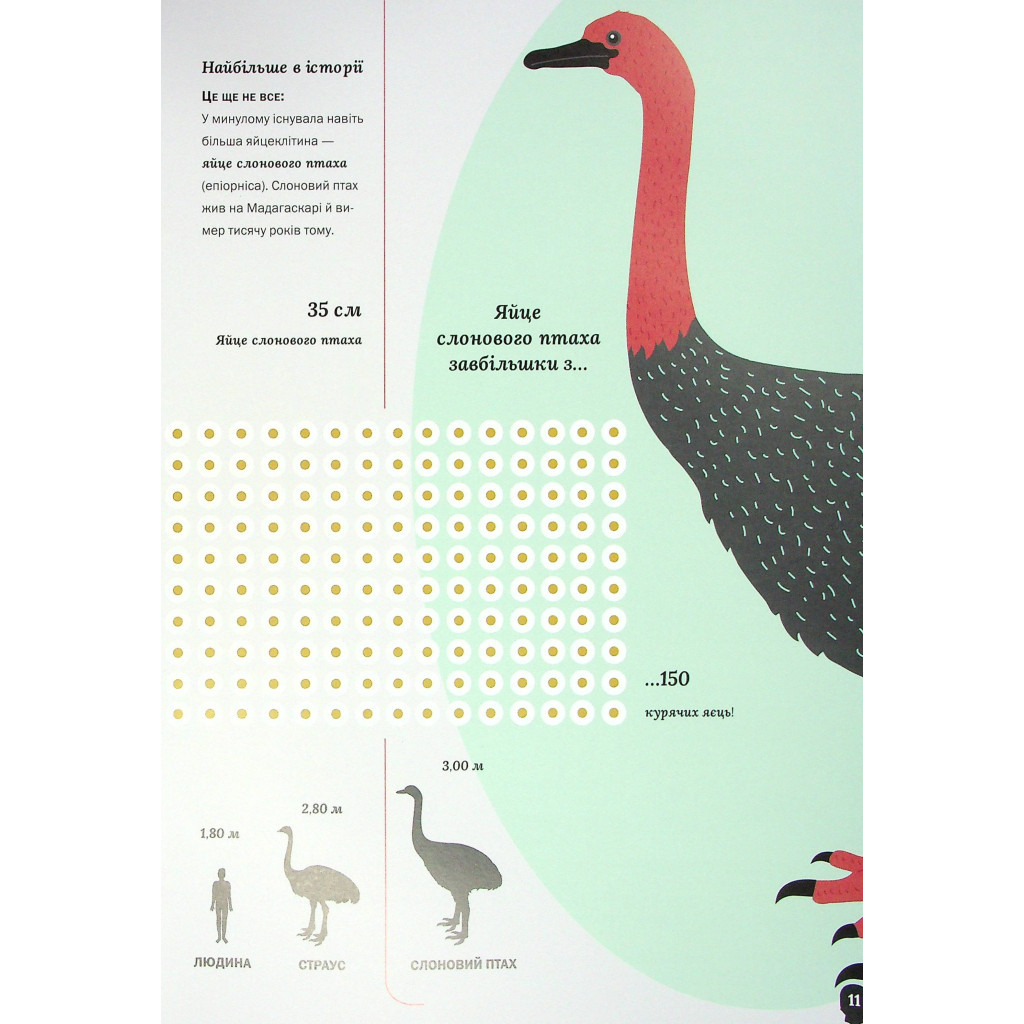 Книга Тіло людини - Кристина Перабоні Жорж (9786177853199) - зображення 12