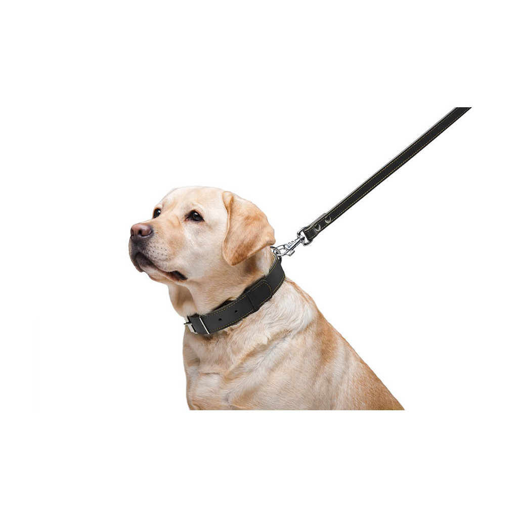 Повідець для собак Collar подвійний з прошивкою Ш 16 мм Д 122 см чорний (04571) - зображення 6