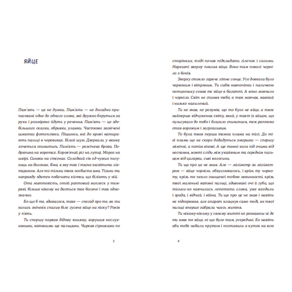 Книга Нічні купання в серпні - Сергій Осока Видавництво Старого Лева (9789664480496) - зображення 3