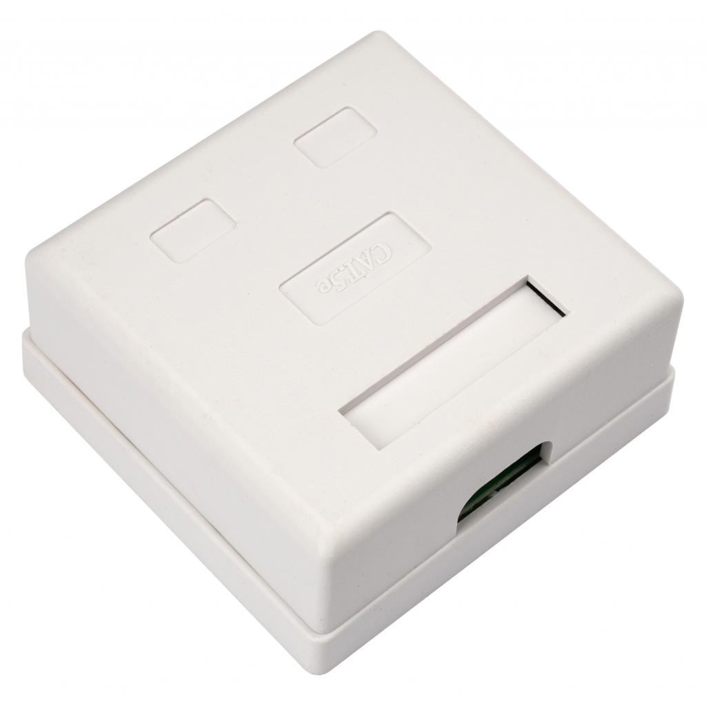 Комп'ютерна розетка RJ45x2 UTP cat.5e 8P8C Vinga (VCPRJ45O2) - зображення 2