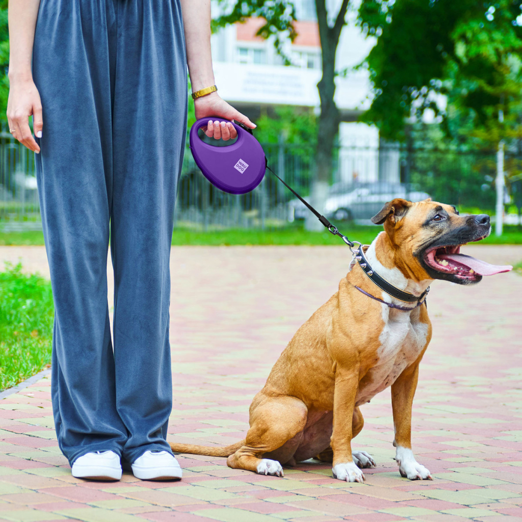 Повідець для собак WAUDOG R-leash з контейнером для пакетів S до 12 кг 3 м фіолетовий (26279) - изображение 6