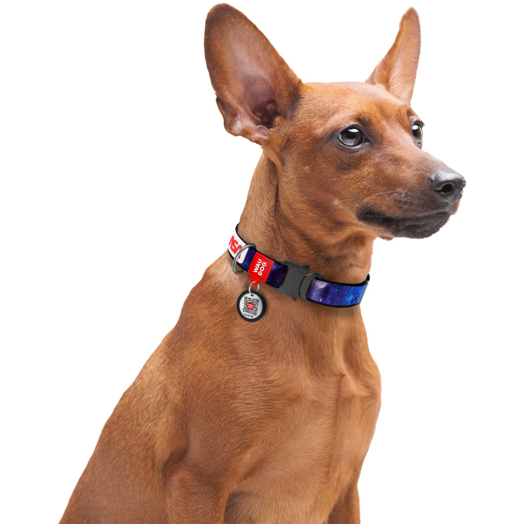 Нашийник для тварин WAUDOG Nylon з QR паспортом "NASA21" металева пряжка-фастекс S (4506-0148) - зображення 5