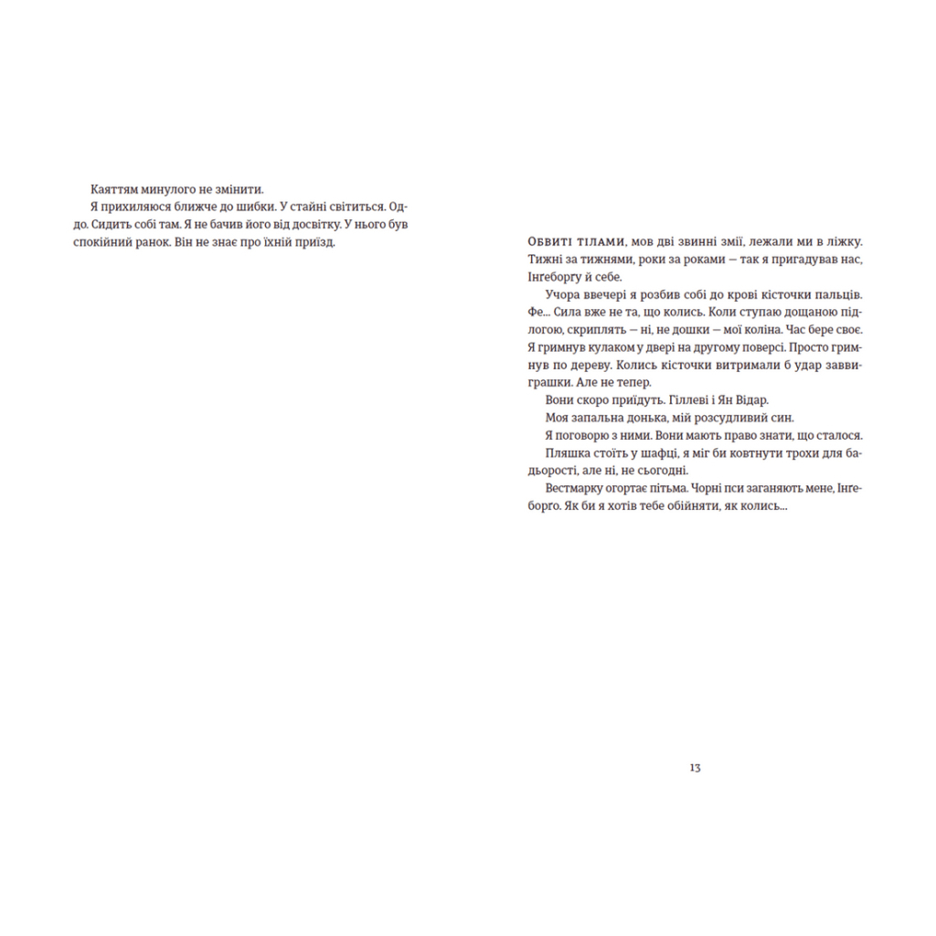 Книга Толлак Інґеборґи - Туре Ренберґ Видавництво Старого Лева (9789664480342) - зображення 6