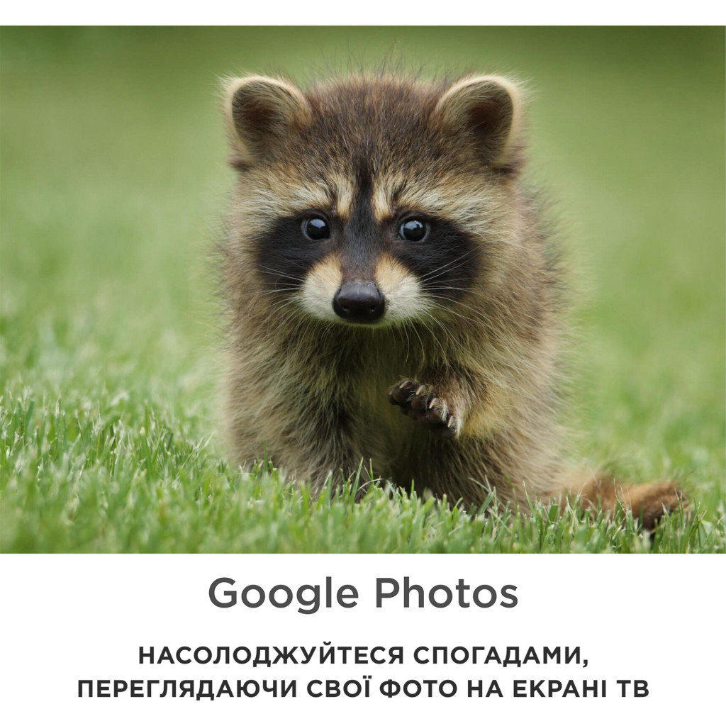 Телевізор IFFALCON IFF65U62 - зображення 6