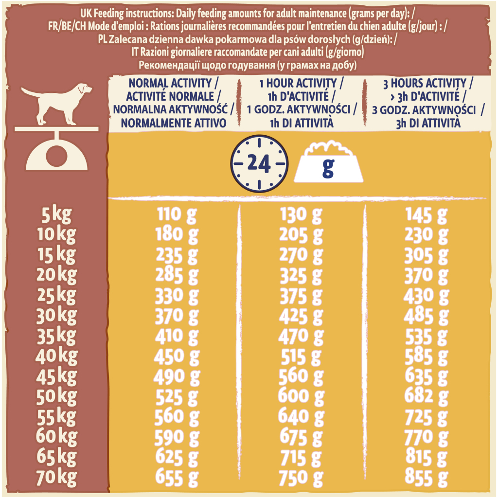 Сухий корм для собак Purina Dog Chow Active Adult зі смаком курки 14 кг (7613034487933) - зображення 3