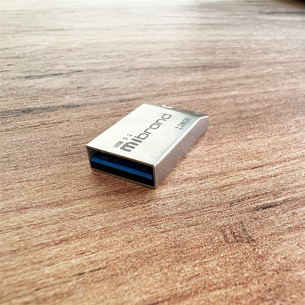 USB флеш накопичувач Mibrand 128GB Ant Silver USB 3.2 (MI3.2/AN128M4S) - зображення 2