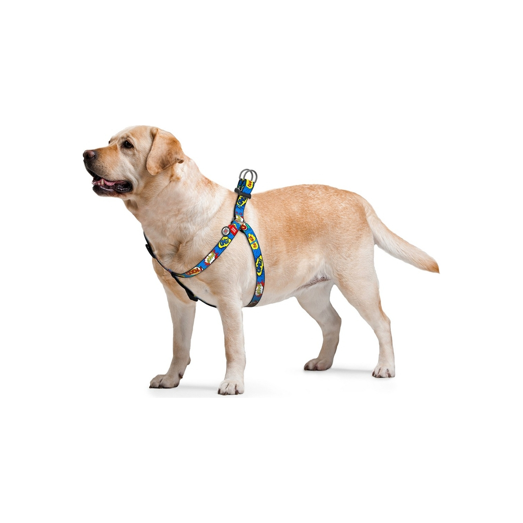 Шлея для собак WAUDOG Nylon з QR паспортом анатомічна "ВАУ" S (5006) - зображення 3