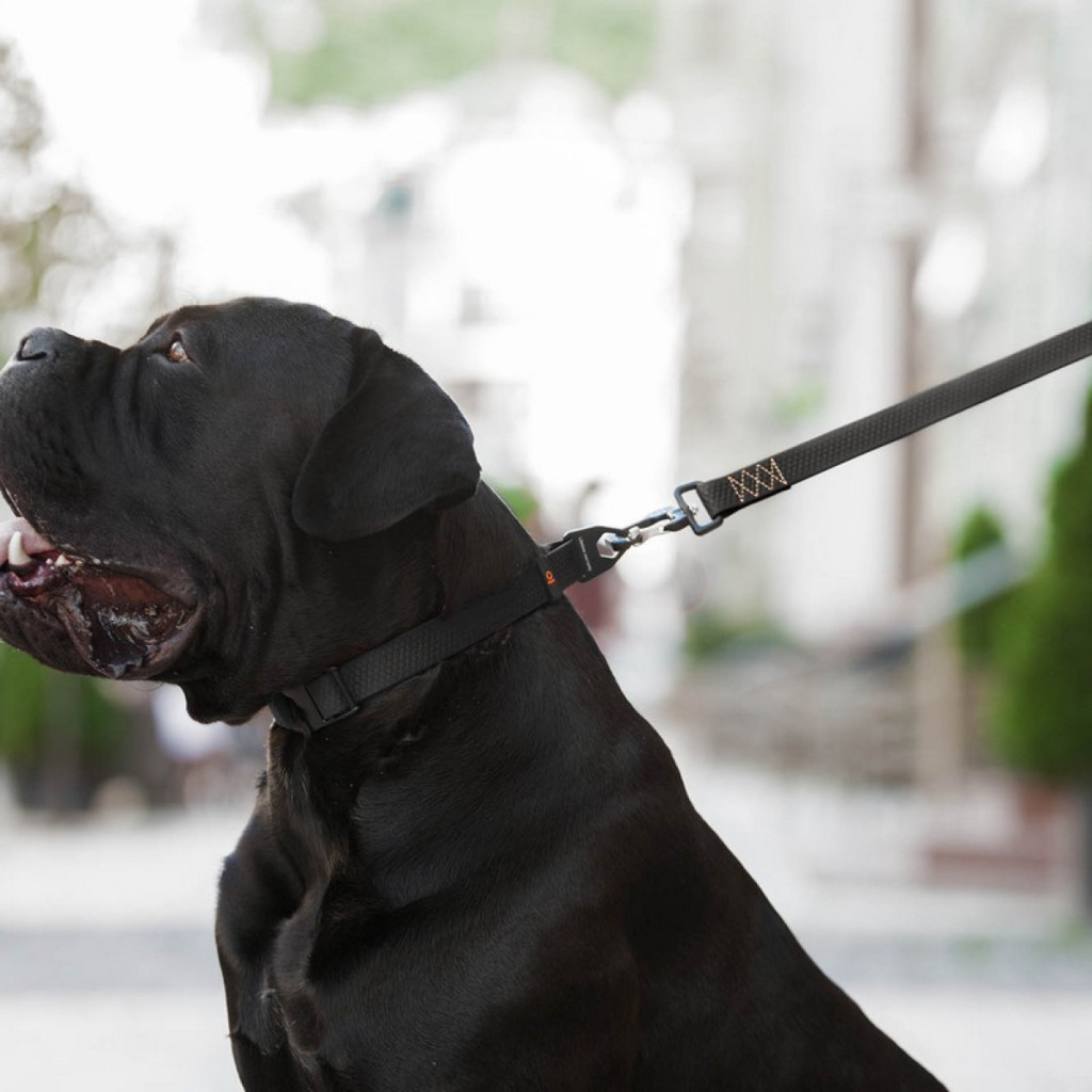 Повідець для собак Evolutor 120 см 25 мм чорний (42101) - изображение 12